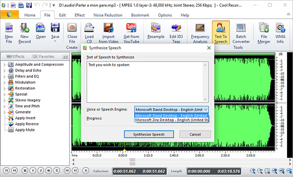 Input Text & Synthesize Text to Audio